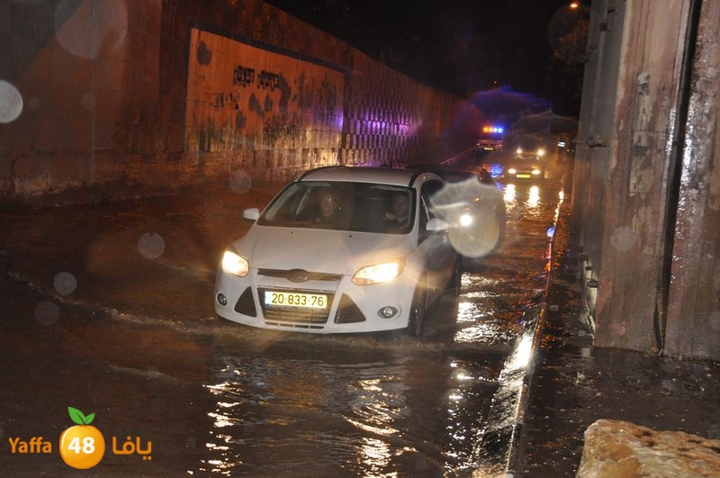 rain lud 1212 (15).JPG